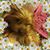 Debra Marchetti's profile image