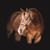 Lori Amende's profile image