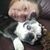 Casie Norris Weibley's profile image