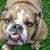 John Franc's profile image