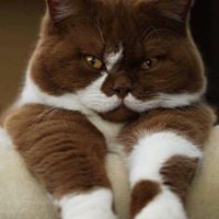 Anita Clayton's profile image