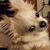 Ann White's profile image