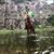 Joao Victor Bartholomei Marinelli's profile image