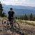 Brianne Gorely's profile image
