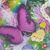 Ginnie-Lenny Sebel's profile image