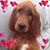 Erin Ann Francois's profile image