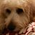 Barbara Lind Schrock's profile image