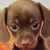 Marsha Cornett-Mowdy's profile image