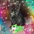 Elaine Freer Sitarek's profile image