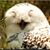 Patricia Uva Vereb's profile image
