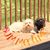 Becky Hickey's profile image