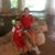 Michelle Dominguez-Sandoval's profile image