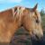 Penni Moore's profile image