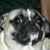 Michael Caliboso's profile image