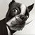 Greg Dallenbach's profile image