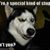 David Mattox's profile image
