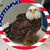 Mandi Letzkus's profile image