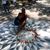 JulieAnne Kaneakua-DeBina's profile image