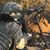 Francisca Solis's profile image