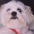 Gerry Hansen's profile image