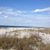 Lisa Wisnewski Shamblin's profile image