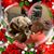 Rachel Davis Templeton's profile image