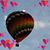 Evelyn Hutsell's profile image