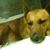 Johnny Leyba's profile image