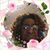 Dorothy Raddle's profile image