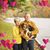 Mary Jo Katon's profile image