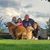 Wendy Breazile Thompson's profile image