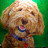 Griffin's profile image