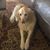 Jill Colosimo Tepper's profile image