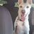 Joan Martha Hauck's profile image