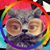 Katie Walberg's profile image