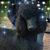 Kathy Lehman's profile image