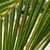 Kimberly Young Hart's profile image
