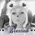 Brandi Younggreen's profile image