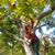 Carlene Sue Wiegel's profile image