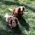 Terri Lynn Fielding's profile image