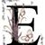 Esther De Susa's profile image
