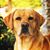 Marlo Shoemaker Warbis's profile image