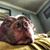 Steve Sledge Winthrop's profile image