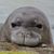 Jenniffer Elliott's profile image