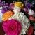 Lynn Feeg's profile image