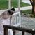 Robbi Jacquelyn Patelli's profile image