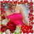 Melva Brewer's profile image