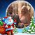 Tracy Marie-Porter LaCasse's profile image