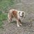 Rhonda Shumate-Smith's profile image