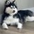 Sam Ang's profile image
